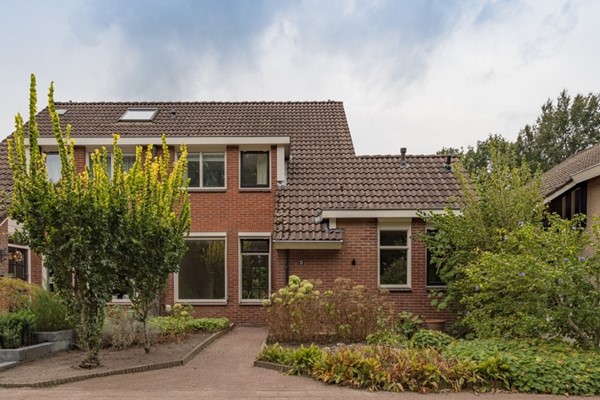 Wingerd 33, Vroomshoop